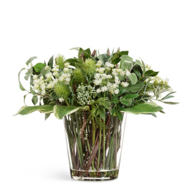 "Green Lifestyle" Big в стеклянной вазе с водой