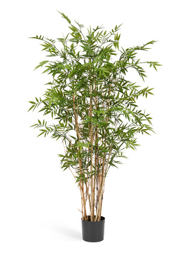 Бамбук Новый Японский Элегант