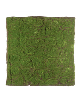 Мох полотно