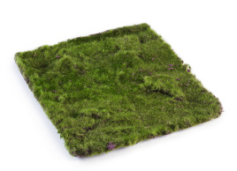 Мох Квадратный 30х30 см