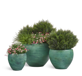 Сет № 65 - Композиция большая цветочная с Туями Брабант в кашпо Treez Effectory Ron