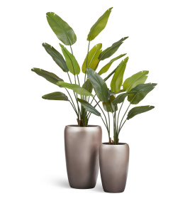 Сет № 102 - Композиция со стрелициями в матовых кашпо Treez Effectory Metal