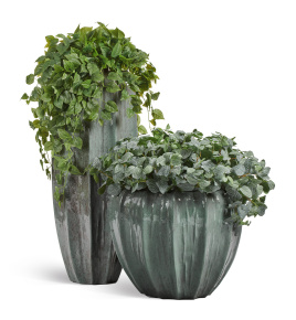 Сет № 118 - Композиция с филодендронами в кашпо Treez Effectory Aura