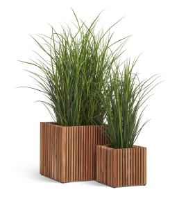Сет № 140 - Композиция Трава Тростник в кашпо Treez Effectory TimberLine