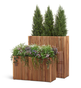 Сет № 144 - Композиция туи и цветущее разнотравье в кашпо Treez Effectory Timberline