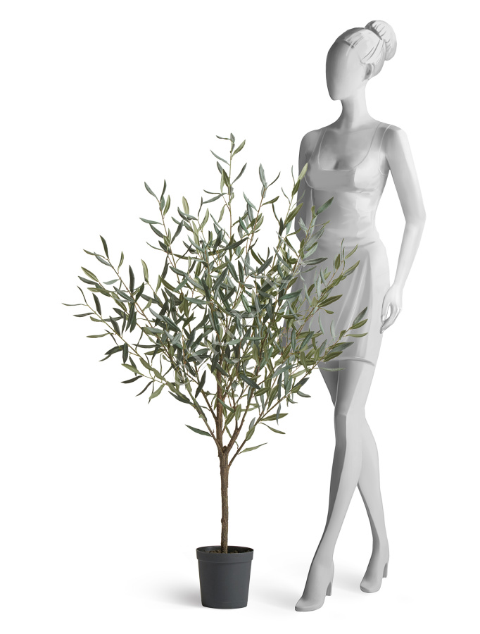 Олива Топиари Нэйчерел (серия Prime) фото