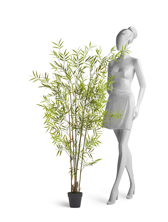 Бамбук японский Style (с UV-фильтром)  фото