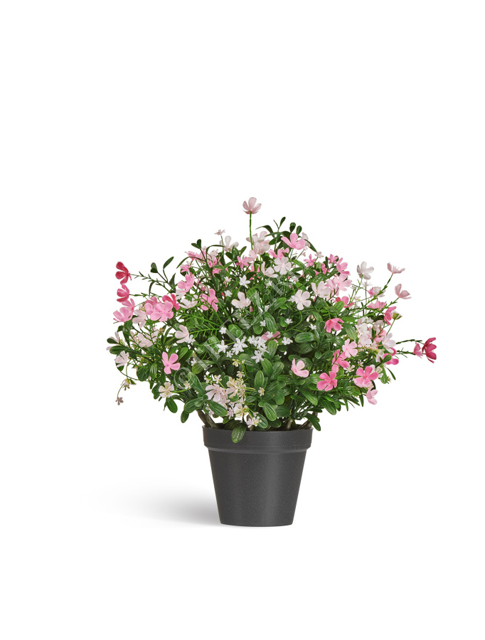 Альпийское разнотравье с нежно-розовыми и белыми цветами (3 размера) фото