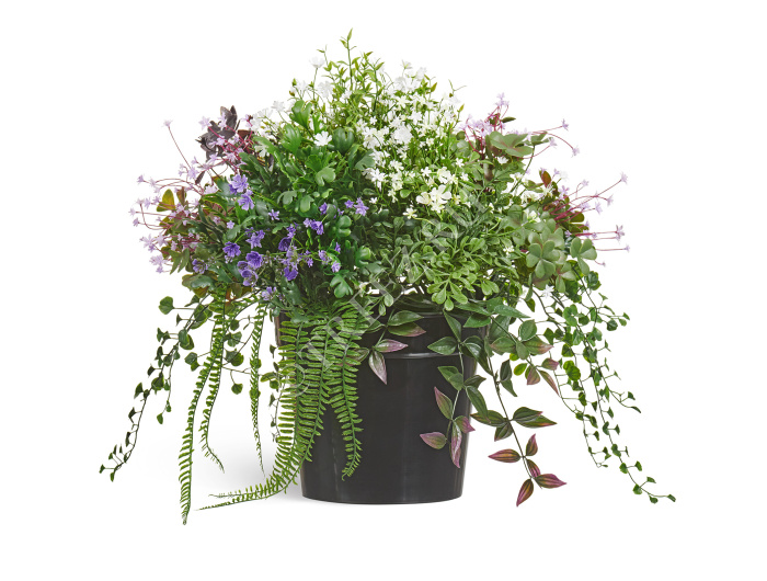 Цветущее разнотравье куст фото