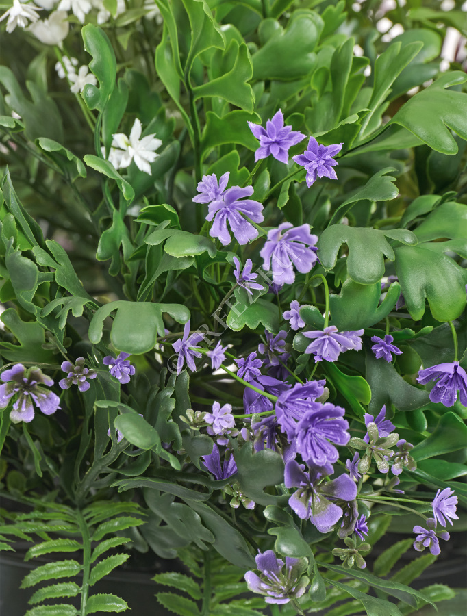 Цветущее разнотравье куст фото