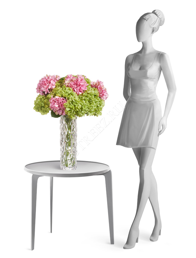 Гортензия махровая светло-зеленая фото