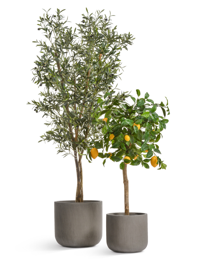 Кашпо TREEZ ERGO - Just - Цилиндр - Мокко фото