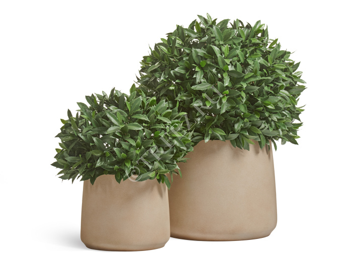 Кашпо TREEZ ERGO - Fine Rock - Чаша Cone - Песок тёплый беж фото