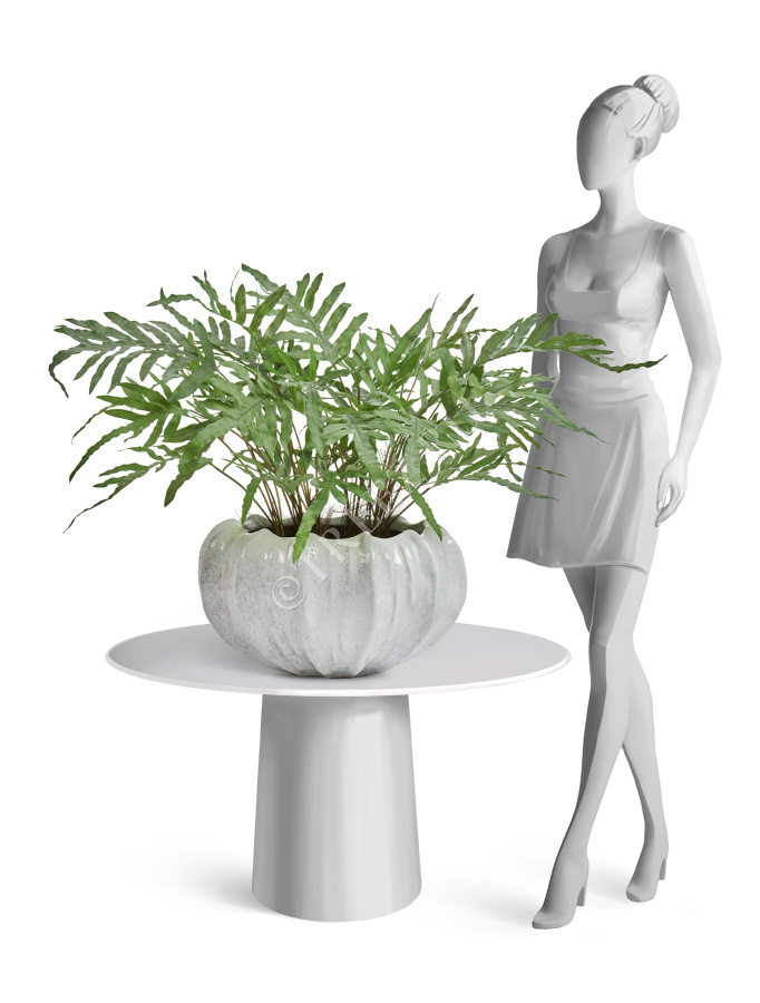 Кашпо TREEZ Effectory - Aura - Низкая Design-чаша - Жемчужный лак фото