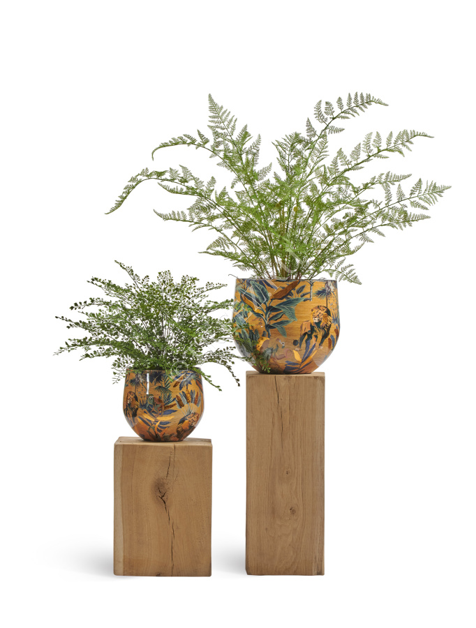 Кашпо TREEZ Effectory - Savage Garden - Чаша - King фото