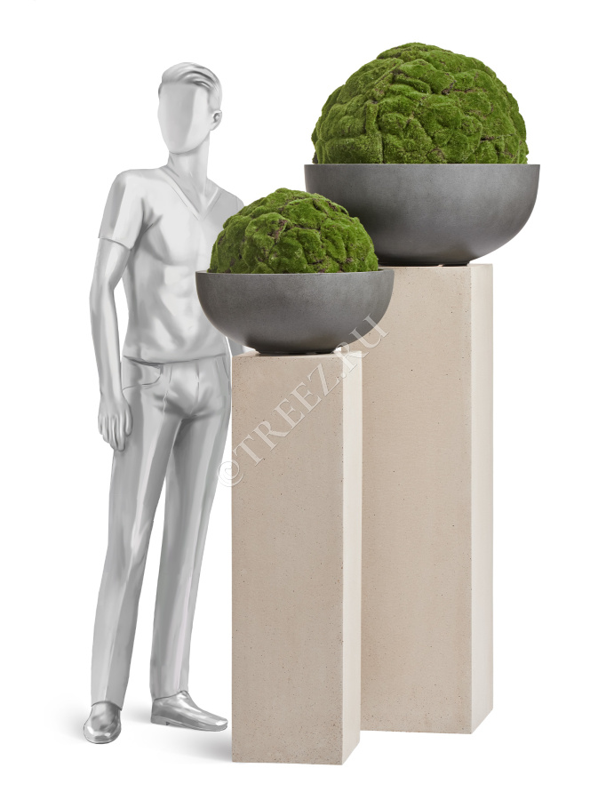 Кашпо TREEZ Effectory - Beton - Низкая сферическая чаша - Тёмно-серый бетон фото