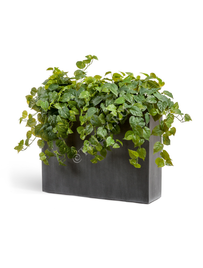 Кашпо TREEZ Effectory - Beton - Высокий Дивайдер - Тёмно-серый бетон фото