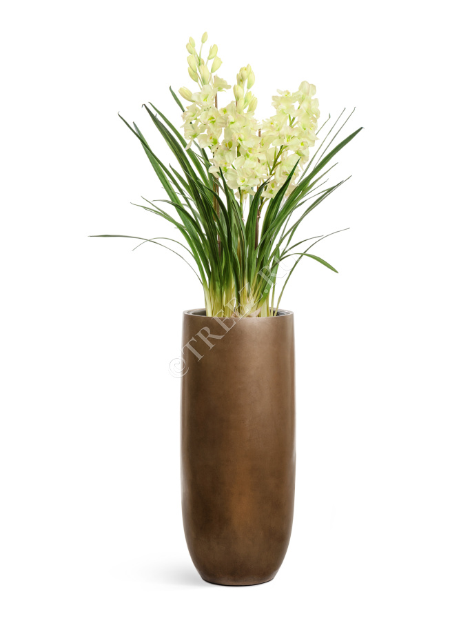 Кашпо TREEZ Effectory - Metal - Высокий округлый конус - Тёмное матовое золото фото