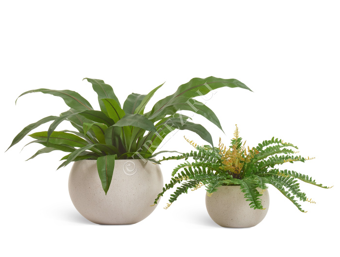 Кашпо TREEZ Effectory - Beton - Полусфера - Белый песок фото