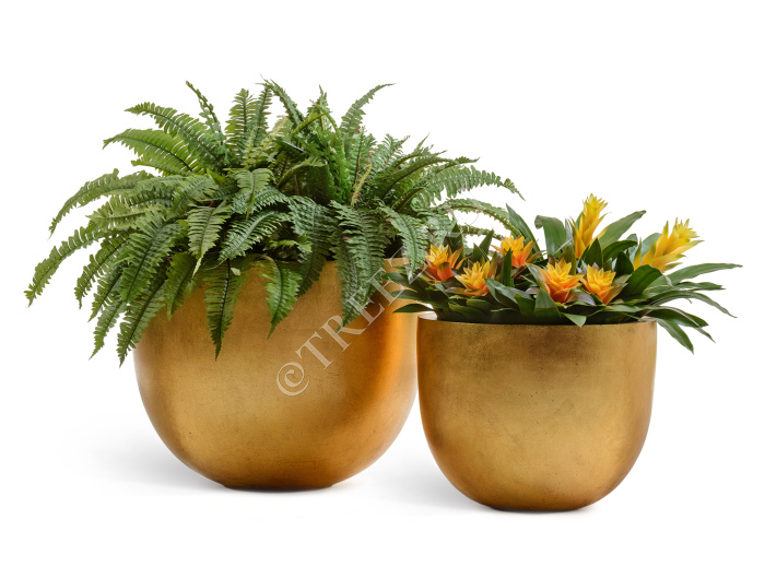 Кашпо TREEZ Effectory - Metal - Низкая конус-чаша - Сусальное золото фото