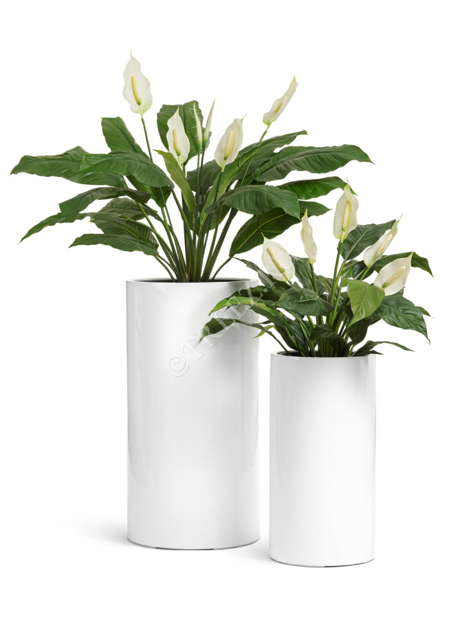 Кашпо TREEZ Effectory - Gloss - Цилиндр высокий- Белый глянцевый лак фото