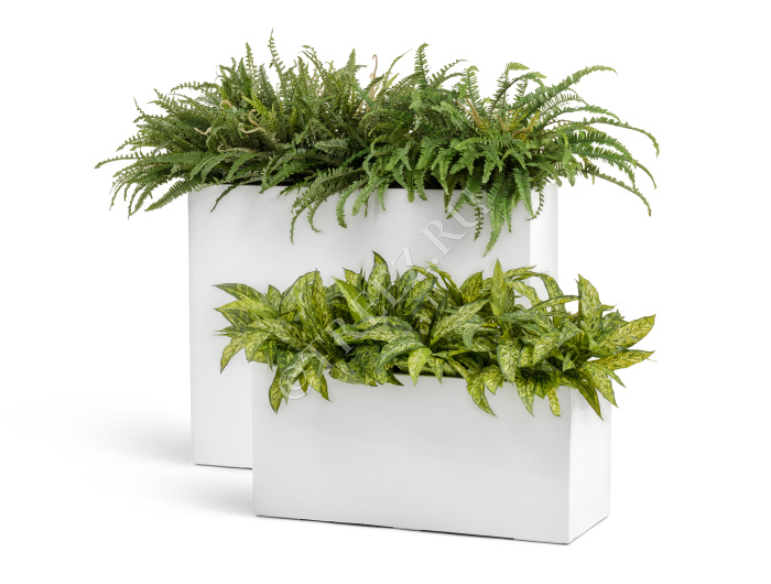 Кашпо TREEZ Effectory - Gloss - Низкий прямоугольник - Белый глянцевый лак фото