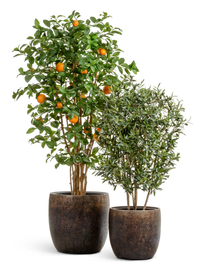 Кашпо TREEZ Effectory - Metal - Конус-чаша - Rough с золотой патиной фото