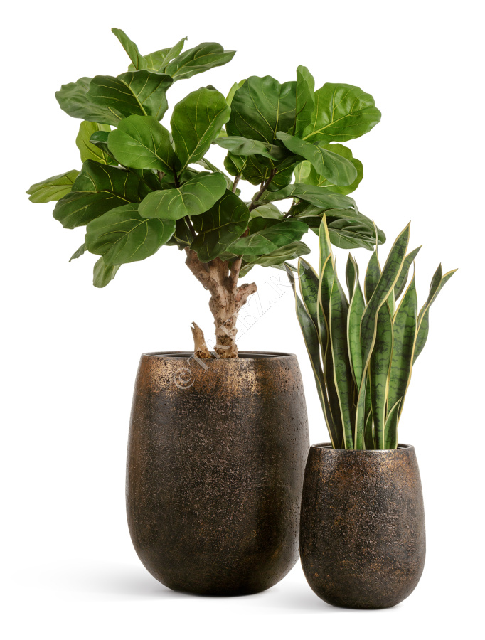 Кашпо TREEZ Effectory - Metal - Округлая чаша - Rough с золотой патиной фото