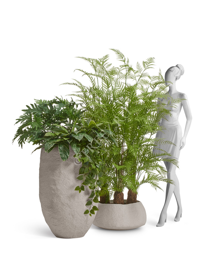 Сет № 30 - Композиция с Древовидным папоротником и зеленью в кашпо Treez Effectory Organic фото