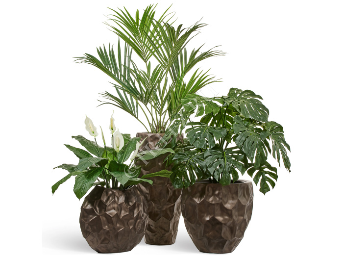 Сет № 40 - Композиция с Пальмой Ховея кашпо Treez Effectory Metal Design Crumple Чернёная бронза фото