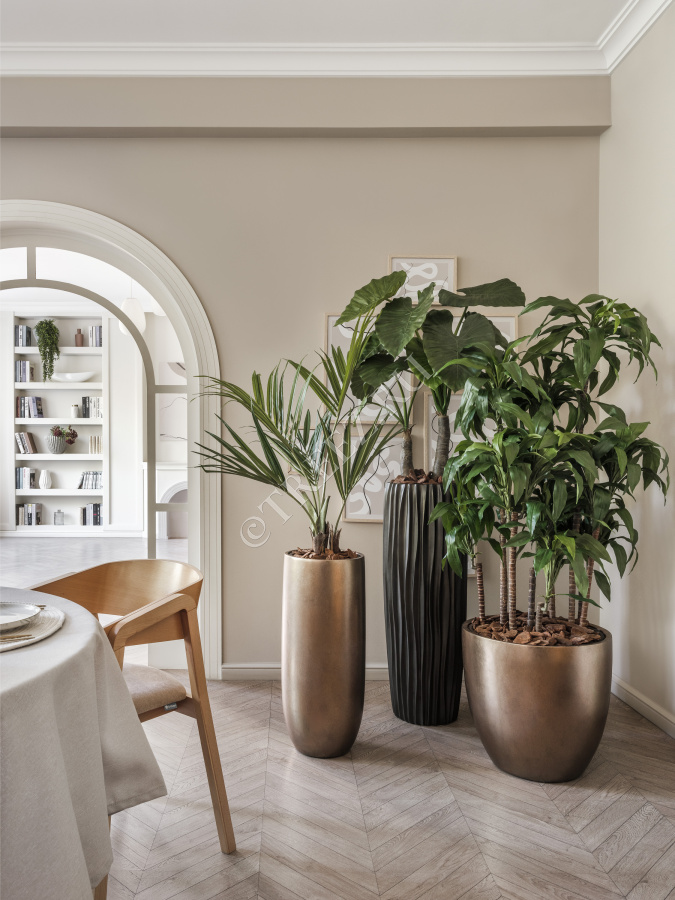 Сет № 41 - Композиция в бронзовых кашпо Treez Effectory Metal фото