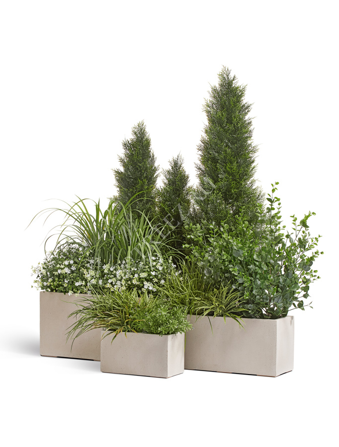 Сет № 45 - Композиция уличная большая в кашпо Treez Effectory Beton Белый песок прямоугольник фото