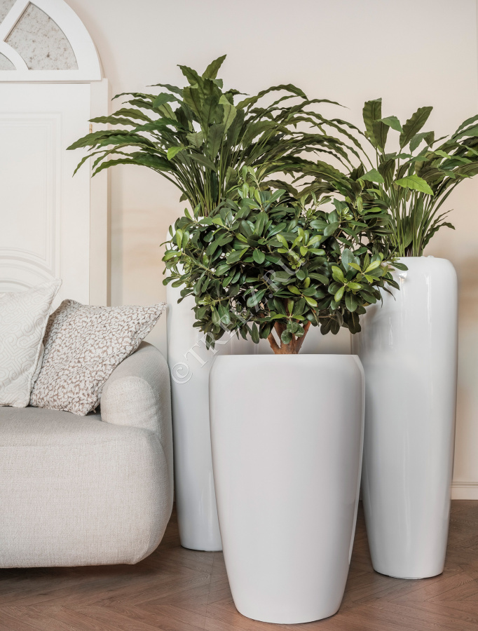 Сет № 46 - Композиция с Калатеями и Питтоспорумом в кашпо Treez Effectory Gloss фото