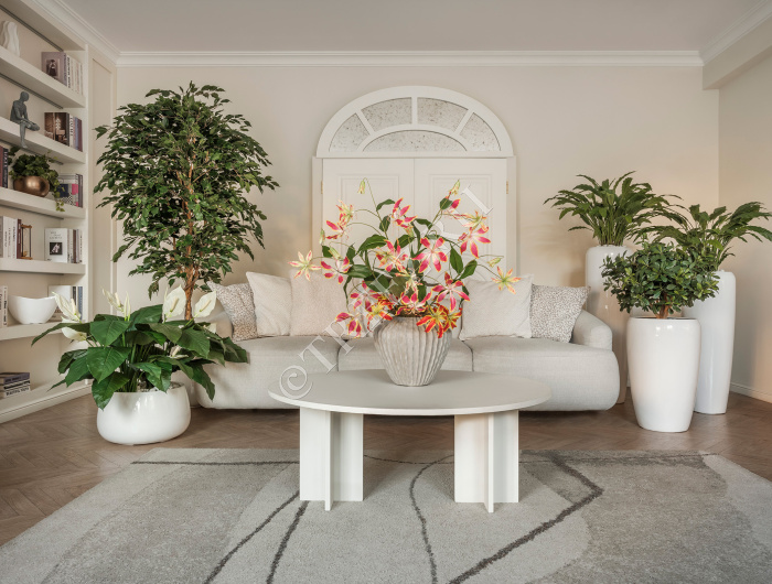 Сет № 47 - Композиция с Фикусом и Калатеями в кашпо Treez Effectory Gloss фото