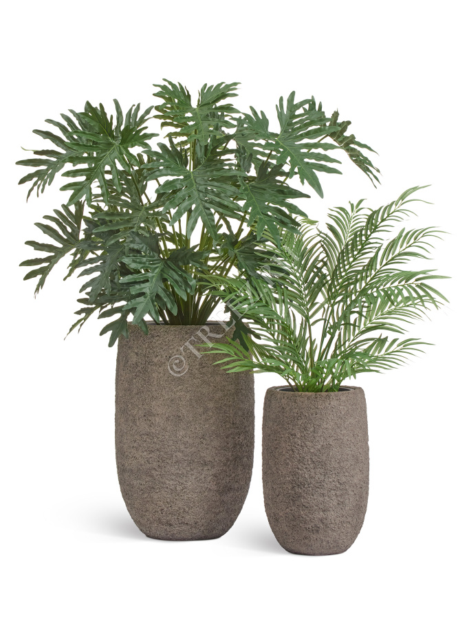 Сет № 90 - Композиция с филодендроном в кашпо Treez Effectory Terra фото