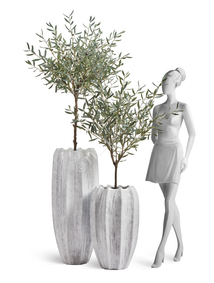 Сет № 117 - Композиция с оливами Prime в кашпо Treez Effectory Aura фото