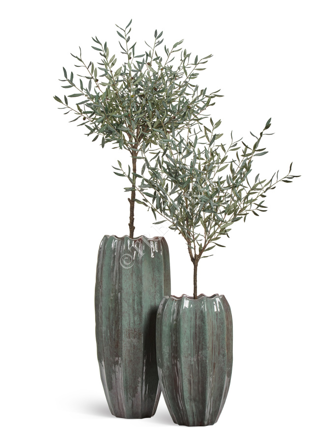 Сет № 117 - Композиция с оливами Prime в кашпо Treez Effectory Aura фото