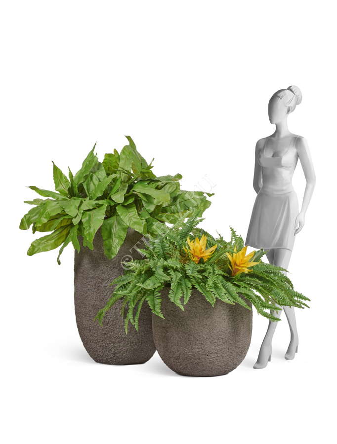 Сет № 128 - Композиция с гусманией в кашпо Treez Effectory Terra фото