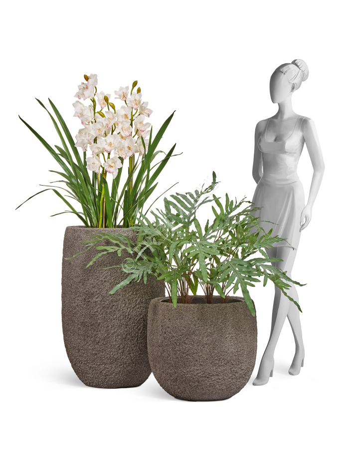 Сет № 129 - Композиция с орхидеей в кашпо Treez Effectory Terra фото