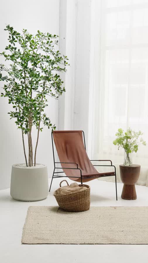 Лесная чёрная олива Ориентал фото