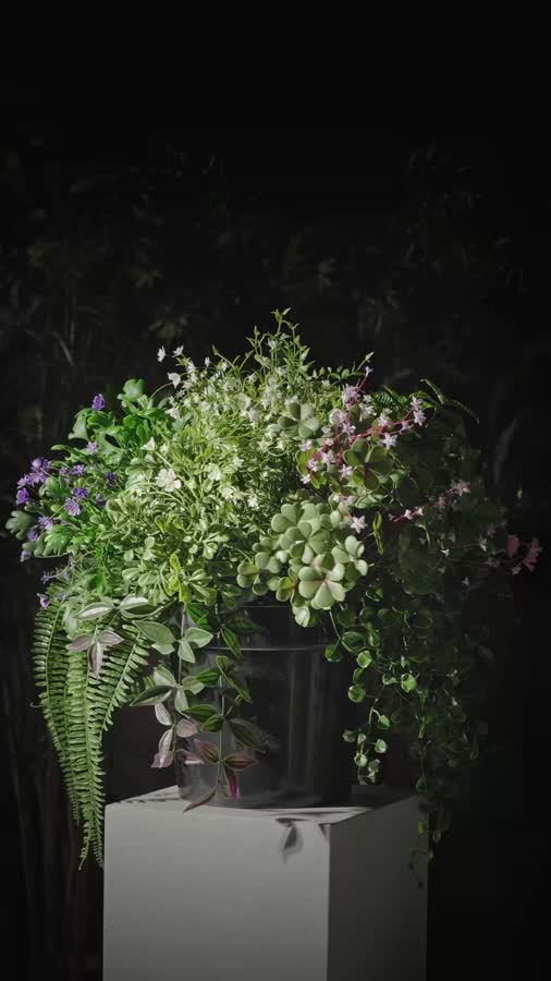 Цветущее разнотравье куст фото