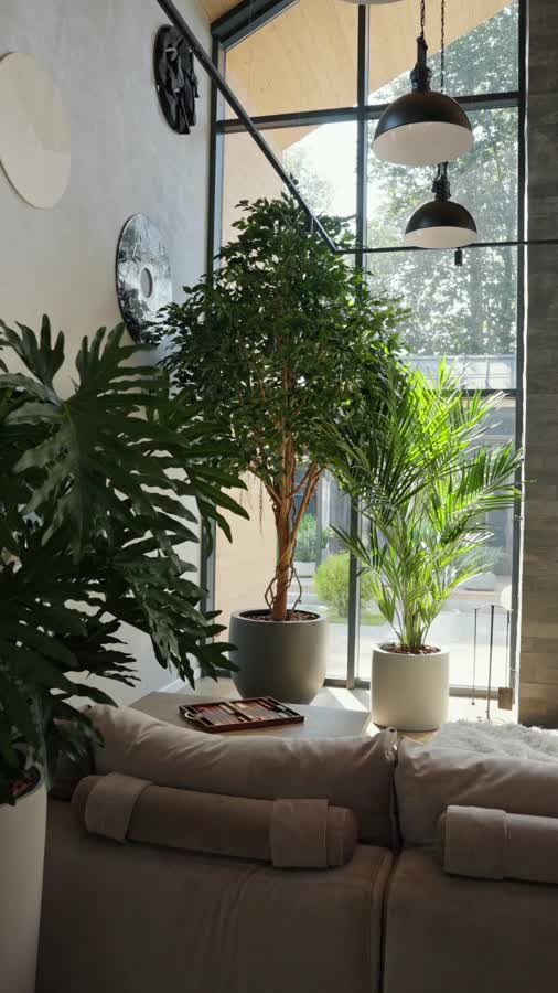 Кашпо TREEZ Effectory - Beton - Большой округлый конус - Тёмно-серый бетон фото