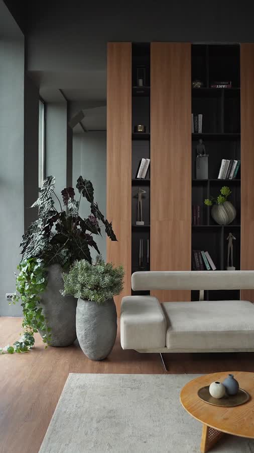 Сет № 57 - Композиция с Алоказией и Кроссостефиумом Миллер в кашпо Treez Effectory Organic фото