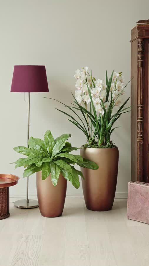 Сет № 101 - Композиция с орхидеей в матовых кашпо Treez Effectory Metal фото